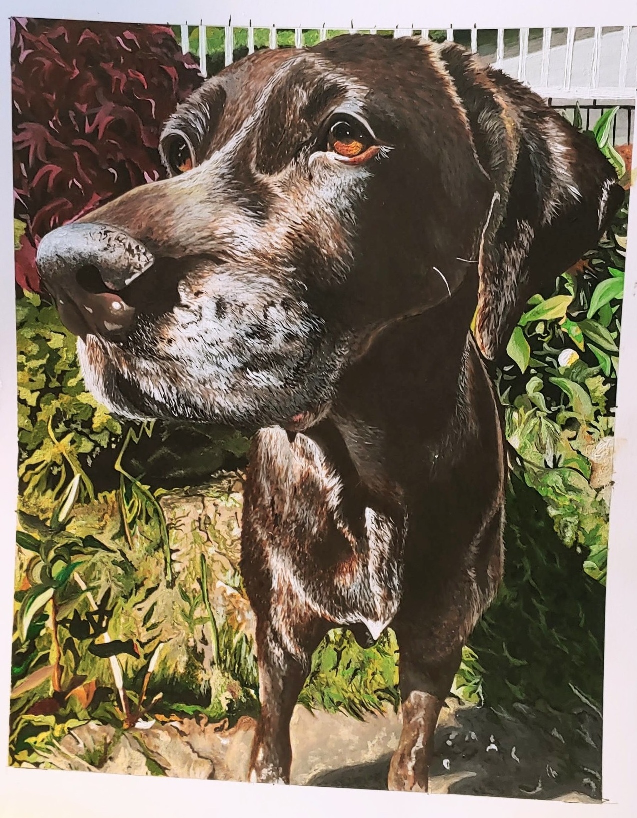 Memorial fur baby portrait